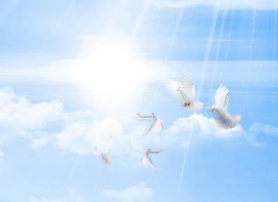 倡導(dǎo)企業(yè)安全文化 提高企業(yè)安全水平